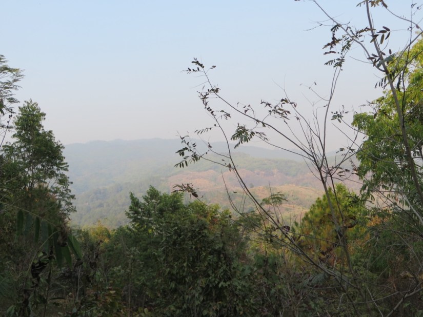 A08B5F6E-5999-47AA-9429-CD89F8E0AE6A