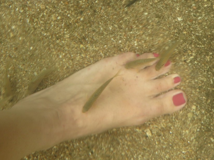 A5CC45DB-12D8-4620-9B55-EC8676A6567C