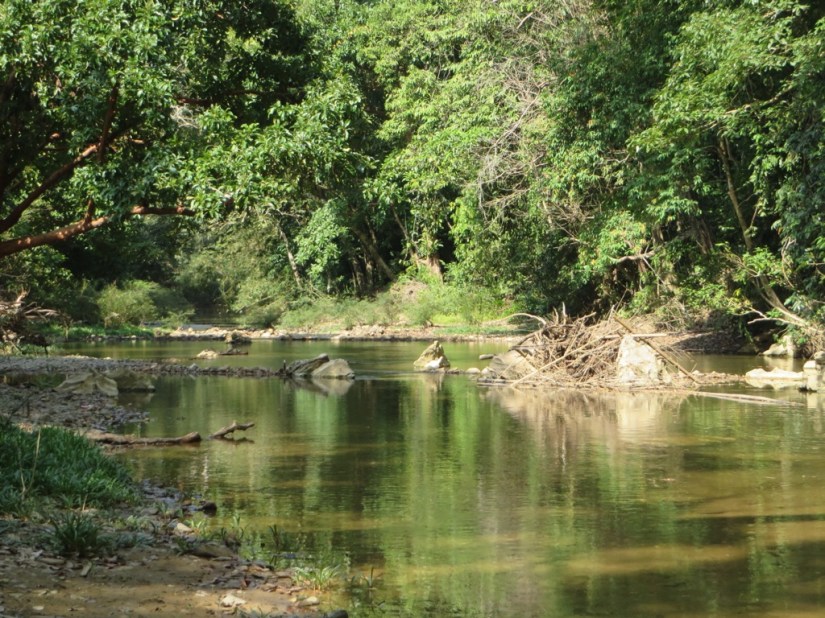 B28EEDDC-6D31-4B17-9C61-830FD571920D