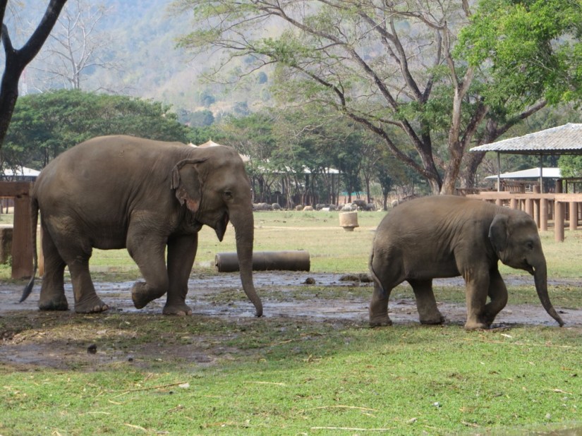 B2B34973-FEC0-44FC-B236-B660DFD6B002