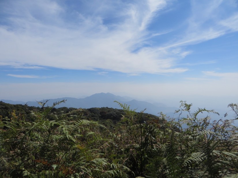 B95913DB-4D68-46CE-83A8-09BD39C21375