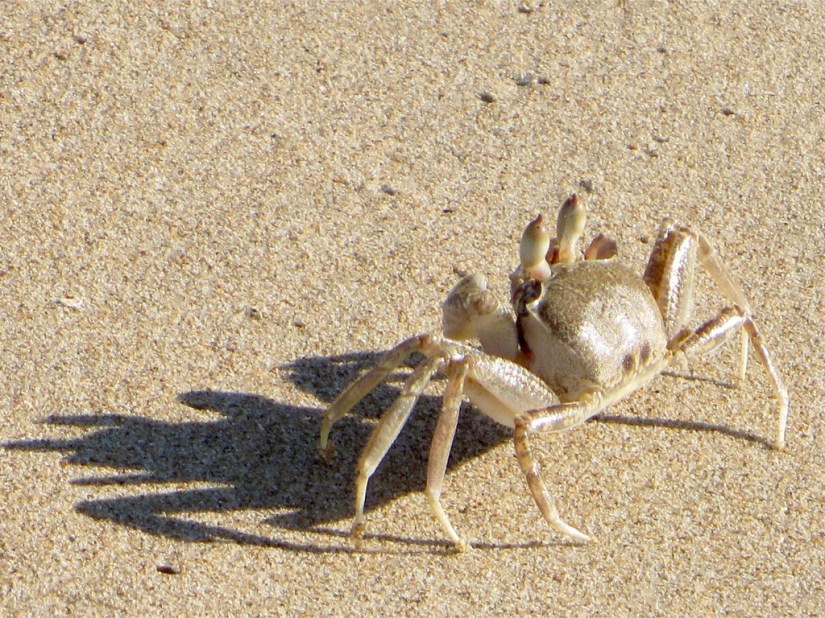 BC249B7E-6A33-41E3-8E8D-5A9BDEB1121D