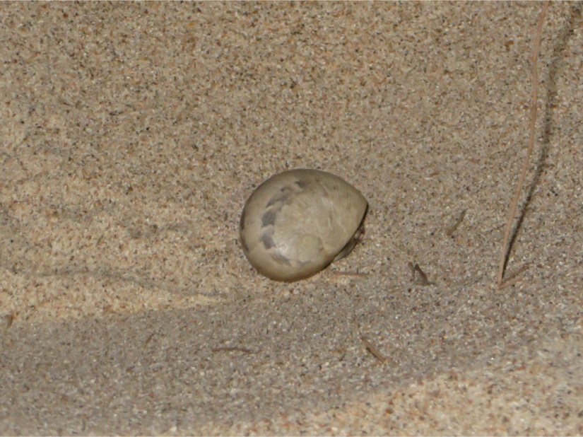 BD29FB47-F229-4595-8139-B01132EEB351