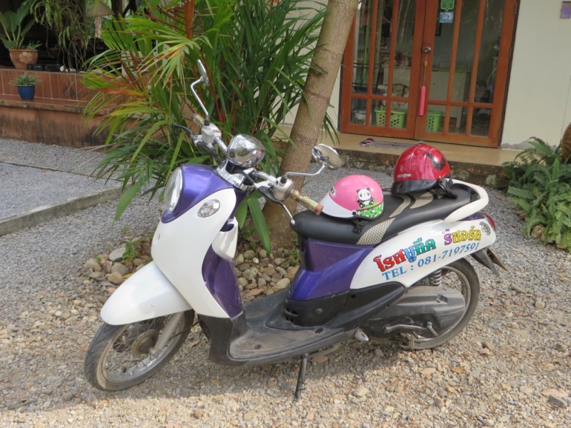 C9C9DB7C-B228-493A-AA43-4F33F7EBCCB1