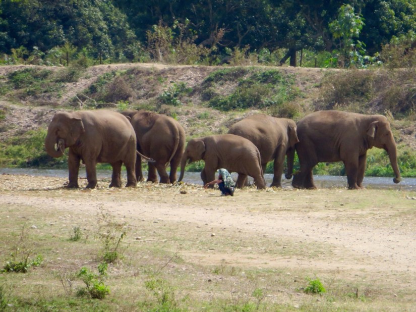 CC08FF71-D149-47C4-AF3A-D46E50332B0F