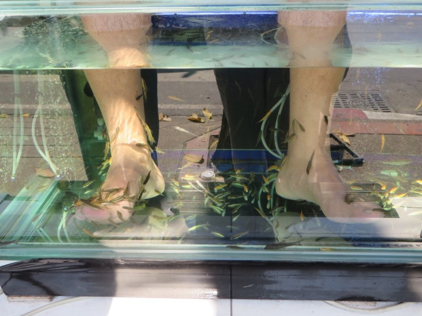 D1673DC8-CEF9-4329-815F-13780296DEAB