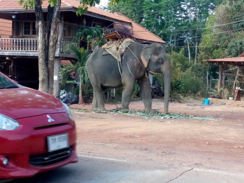 D2BF857A-7401-4D16-997F-8BC7C3CF9AC6