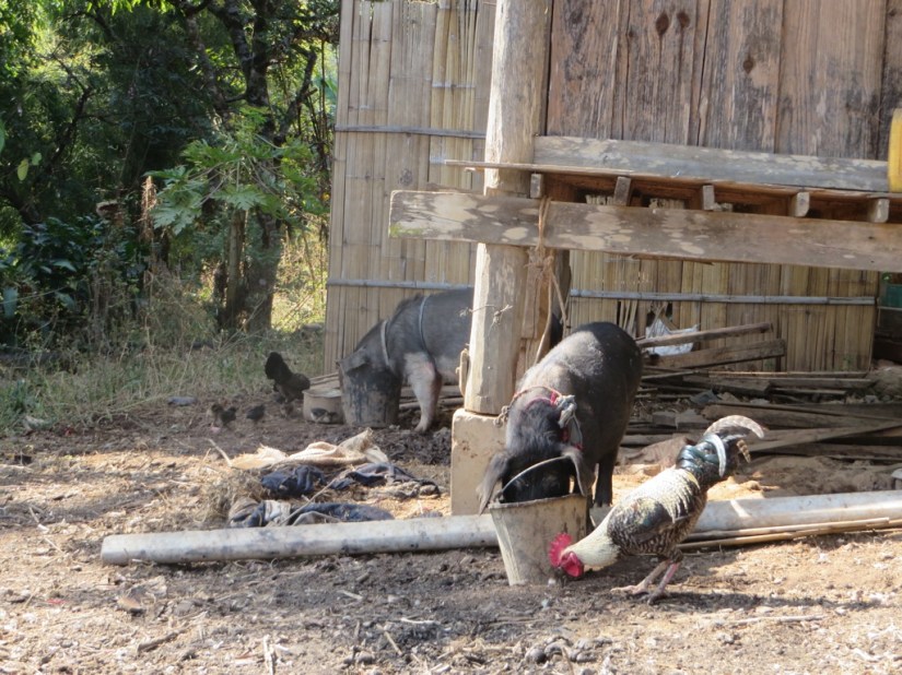 D40C1ECE-BCF9-4DDC-90F0-2F1F46C29F2E