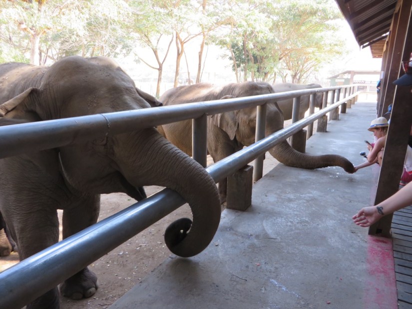 DCB3ED17-1F2C-422D-9733-3FD77B2EFD35