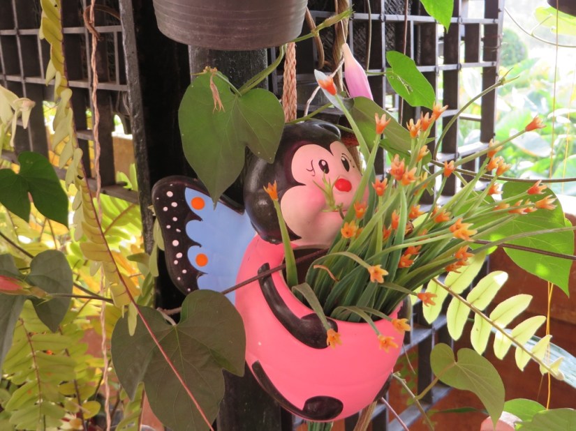 DF0D768F-6D15-4692-9B35-6430B98E738B