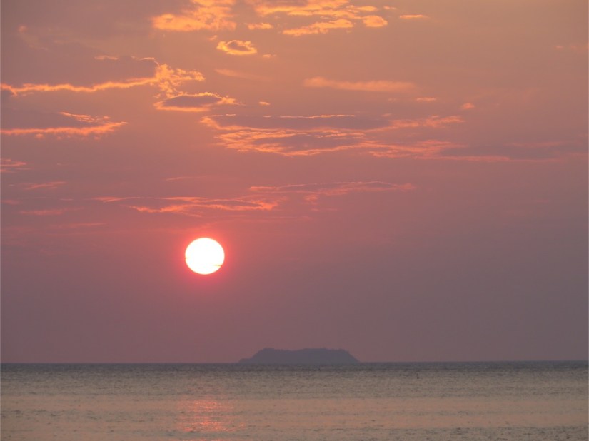 E65A97A0-63F4-4A68-970D-45D906E948A7