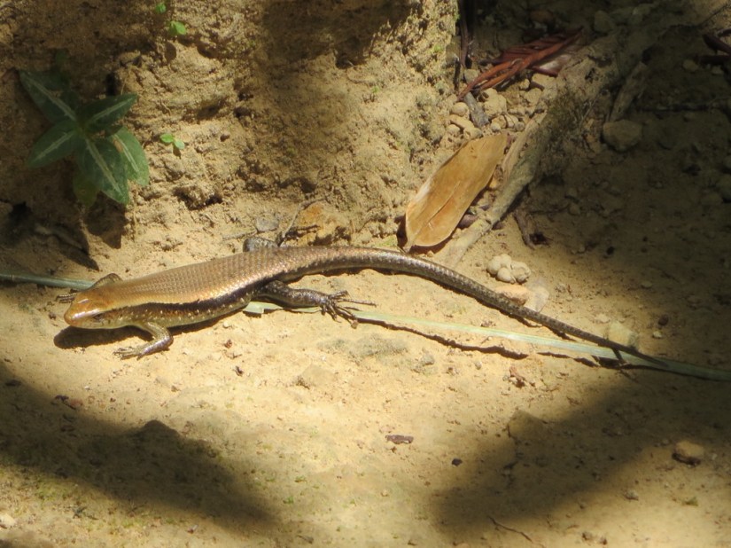 E7710C56-E831-4602-9821-694D13BEC5C8