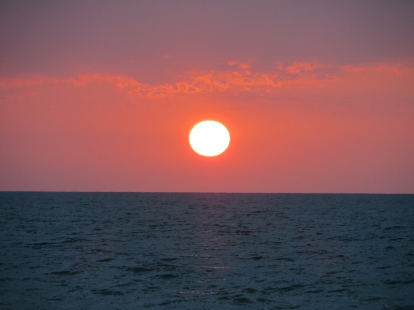 FB4D54BB-6DCA-4638-B97B-FB2F854573B1