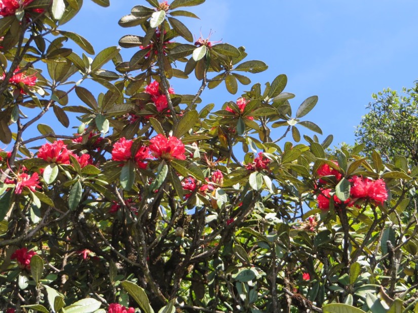 FEF565E8-17AF-4BC5-832C-3F2EC12AFC3F