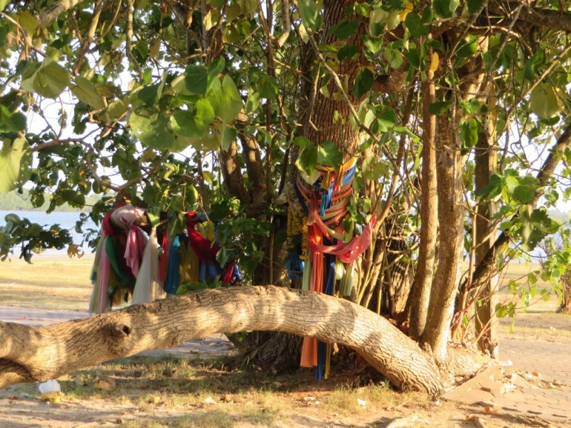 03FADC2B-E057-44EF-8E3B-6F67D8BCDAF6