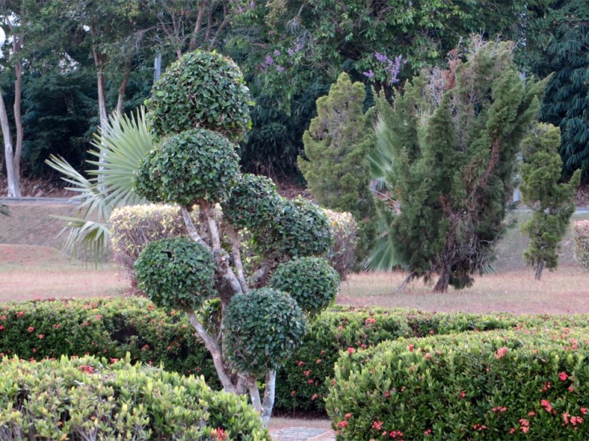 63EE6176-58BB-4658-B14C-9B91F284A524