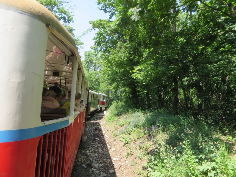 file-0357203A-AA1E-422B-80A0-8ACD16E5A6EC-434-0000002EE92E4A95