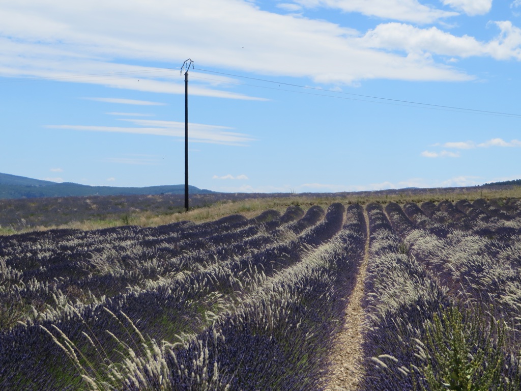 file-06547529-8B95-4EE1-813E-0A9F2B37E7A0-439-0000001E0D976DC0