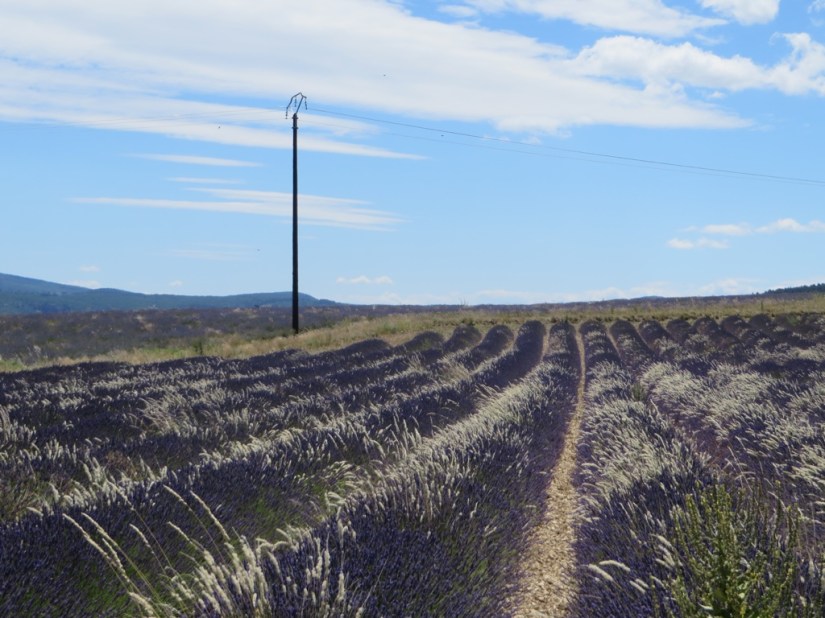 file-06547529-8B95-4EE1-813E-0A9F2B37E7A0-439-0000001E0D976DC0