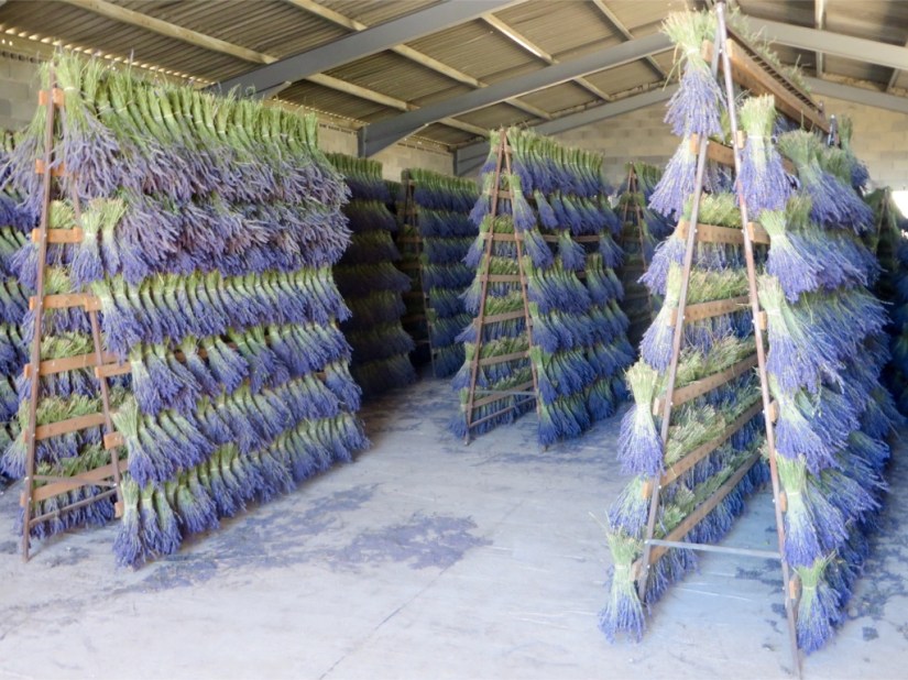 file-2594F094-E072-4ED4-98E9-E89E326DF9DA-439-0000001DFC6A9E8D