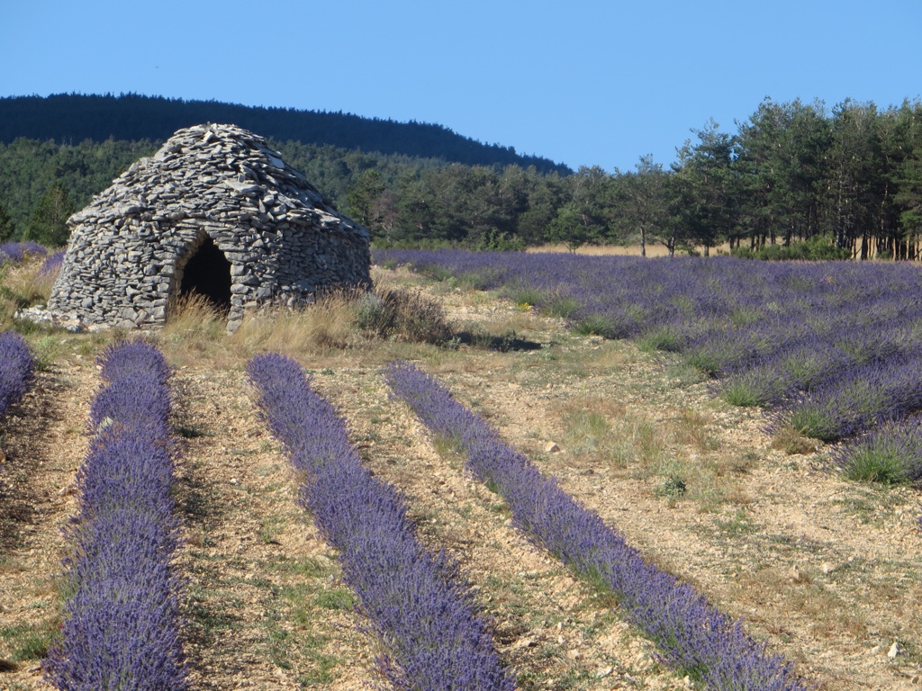 file-33703A9A-EAED-49C6-AA52-33FEC7161F7B-439-0000001DF8B6716B