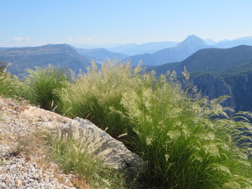 file-3C448208-31EB-4BBC-BCD2-3B6536AD063A-439-0000001E6689F7D2