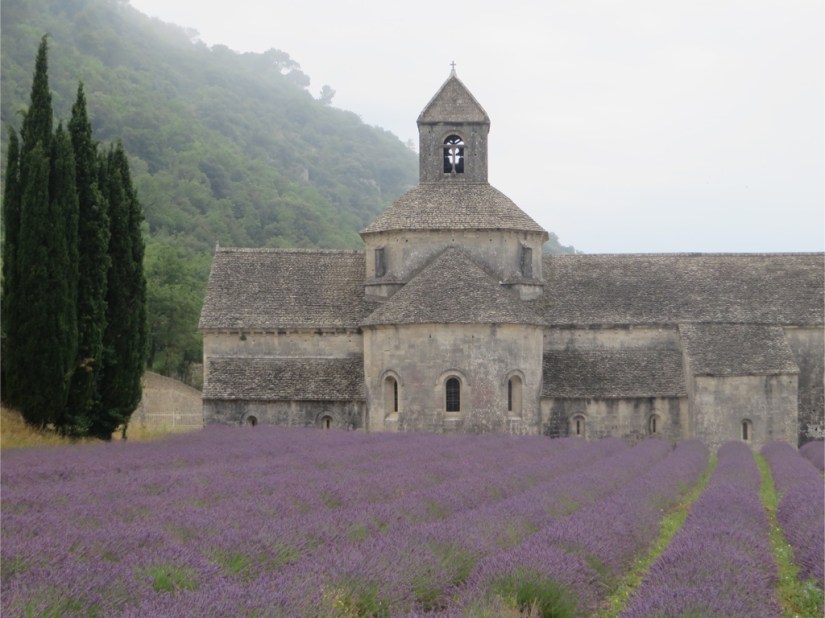 file-4952A741-BECC-4D30-B086-5136749F95E5-439-0000001E32E5A20A