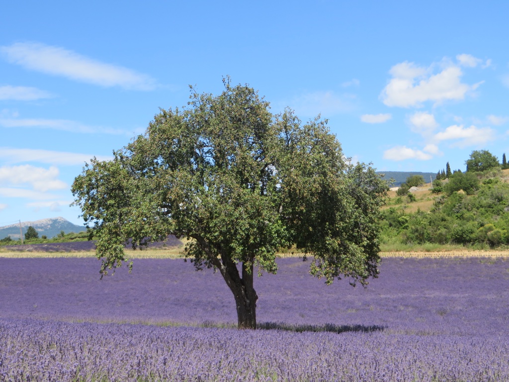 file-673384B5-DF4C-4E17-AAF9-9F7126ECD1C2-439-0000001E0D0C8A44