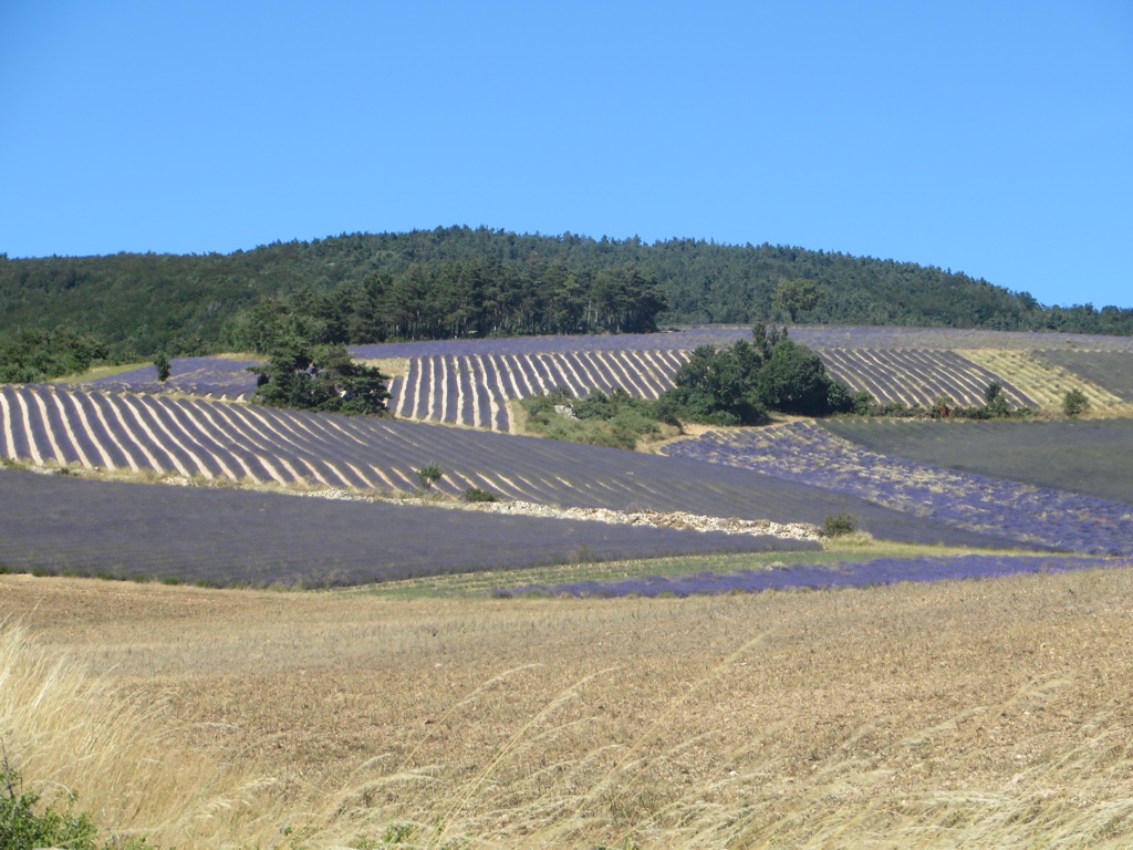 file-77230763-F6B0-4F1D-8C91-2B4A048DE2DC-439-0000001DFAD8C8C2