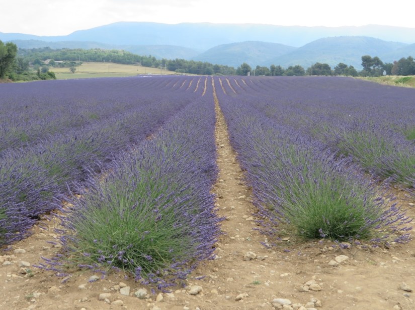 file-7725764D-F506-4BF4-958A-1446127DCDE6-439-0000001E4A5F4671