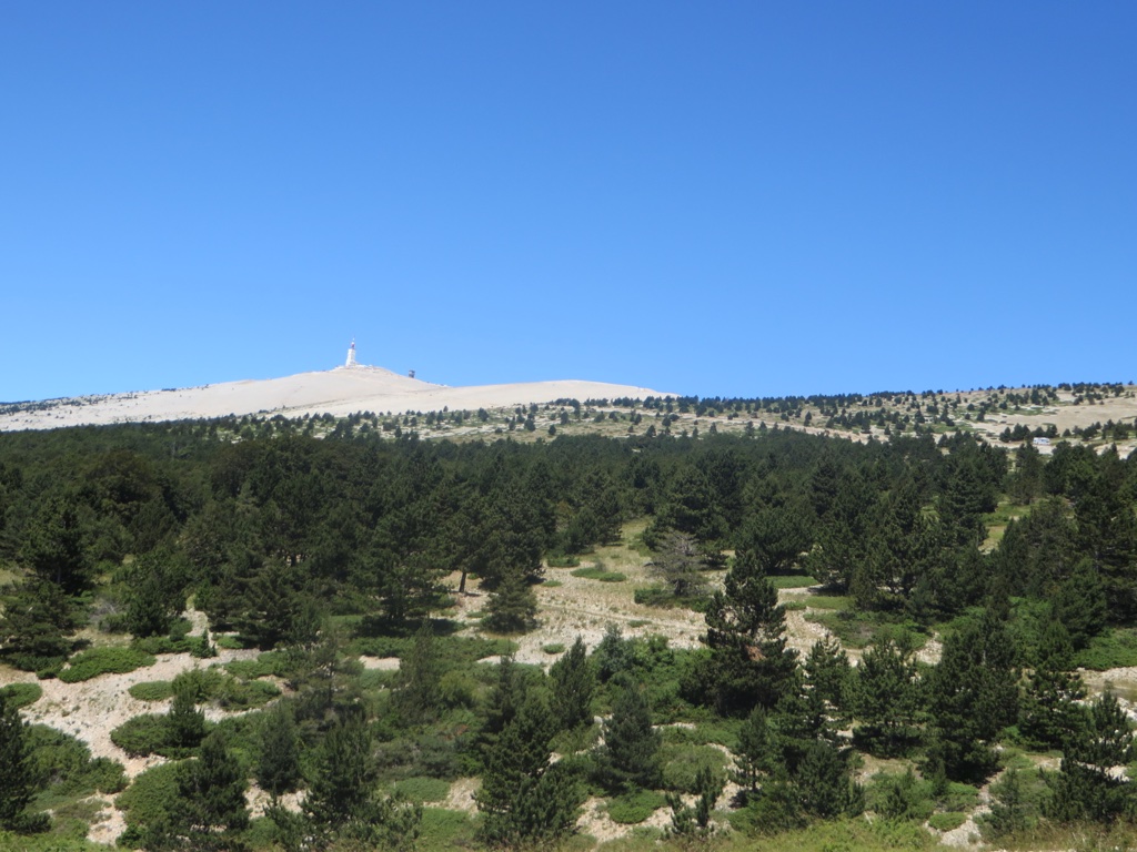 file-7EBC0564-C40D-482D-8CA2-37BEED83271C-439-0000001DFFE0AF82