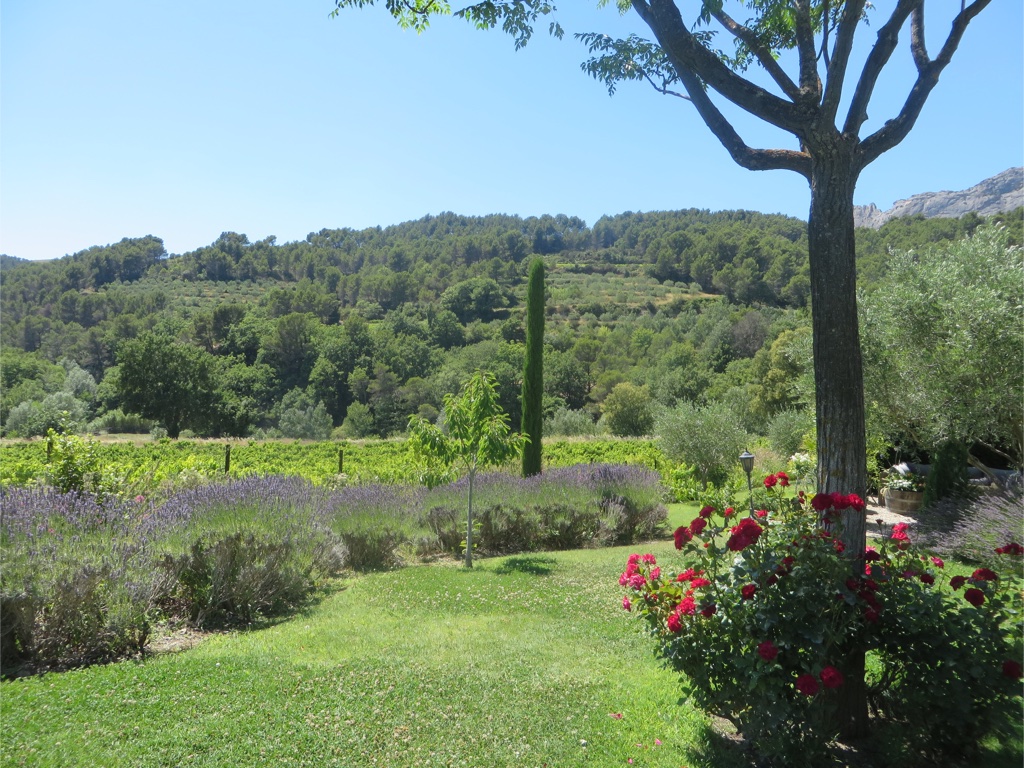 file-8496ADB3-33BE-4A96-A6DB-117B95B16ACE-439-0000001DE1F5C784