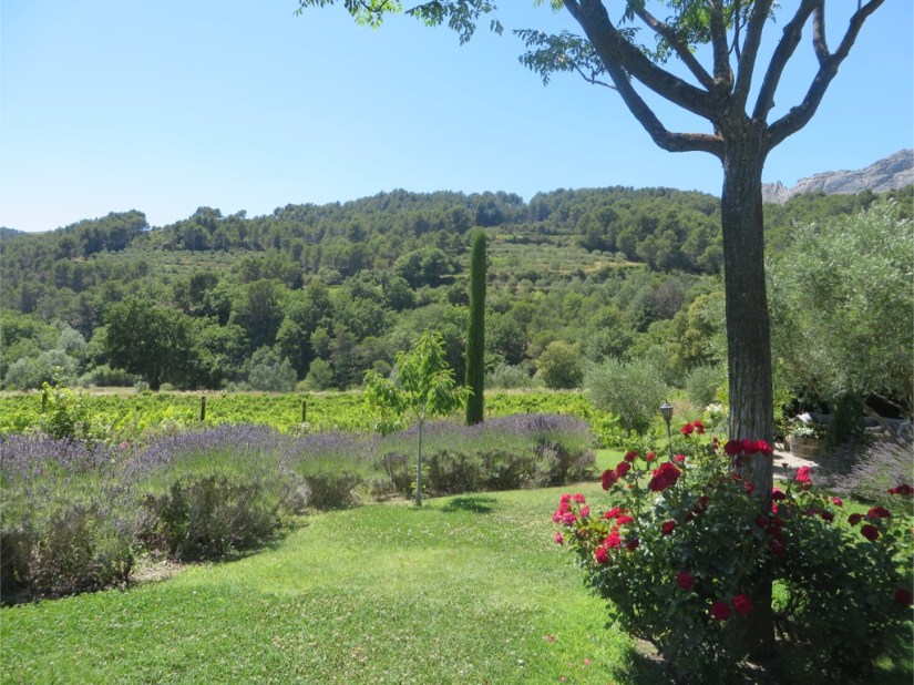 file-8496ADB3-33BE-4A96-A6DB-117B95B16ACE-439-0000001DE1F5C784