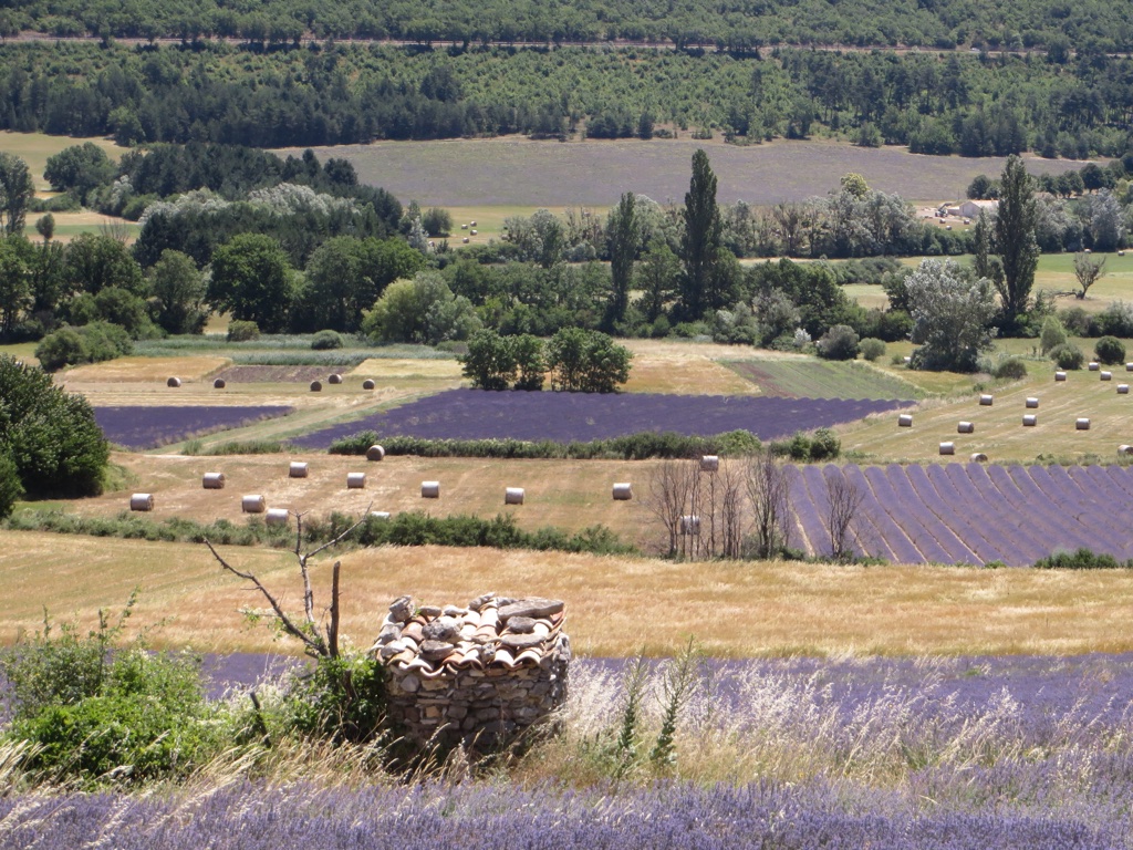 file-8E64E71A-4747-4DCA-81C3-24A21D7BFB2F-439-0000001E0FE11075