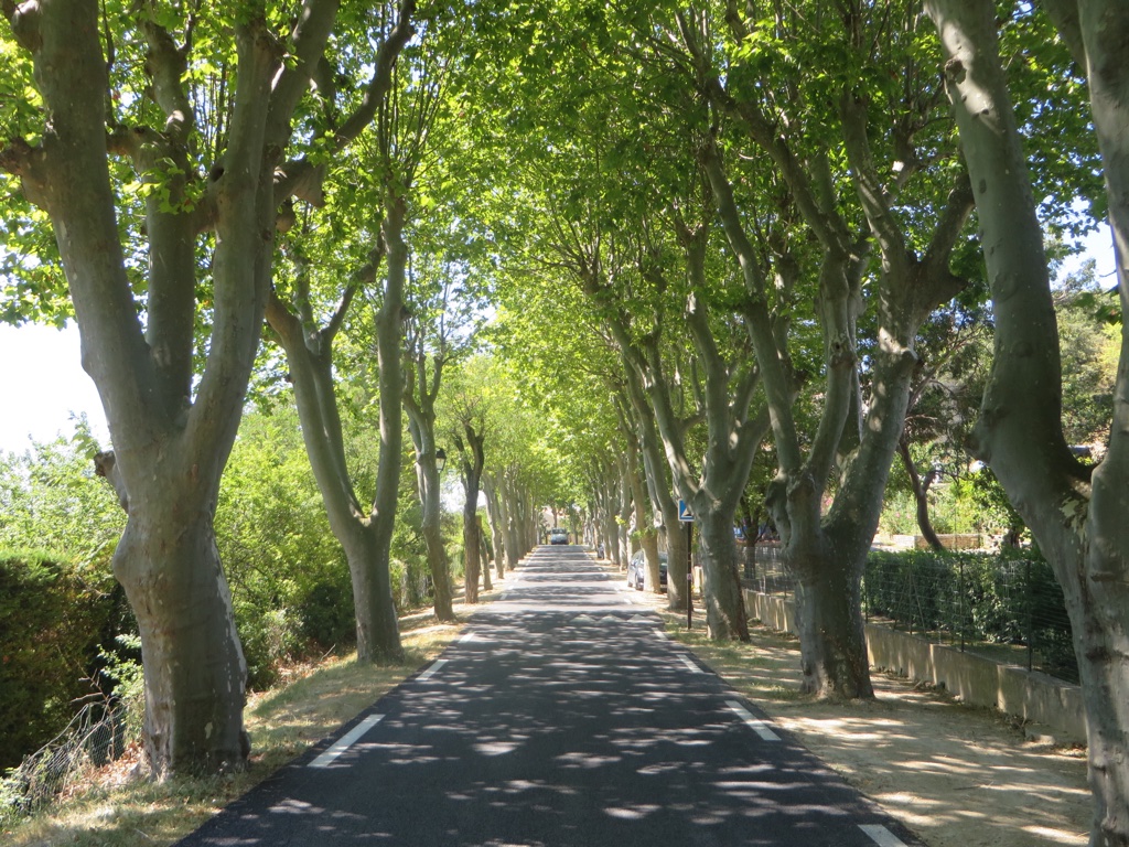 file-8EA56AB3-934D-4282-88EB-75C5FC8D14F6-439-0000001DDE3D5F6C