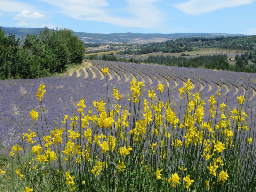 file-AE44FACD-12F9-4C5A-B417-541C79F8B55A-439-0000001E0F27AE3F