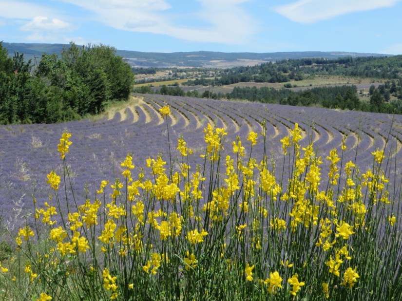 file-AE44FACD-12F9-4C5A-B417-541C79F8B55A-439-0000001E0F27AE3F