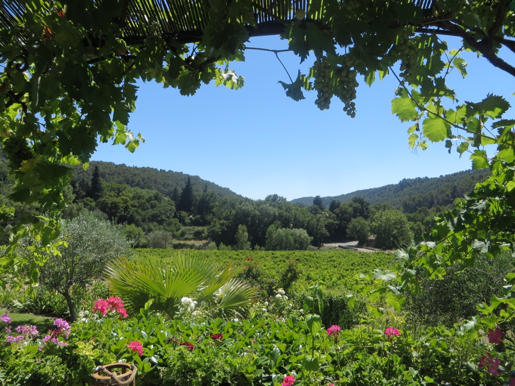 file-C32B5E5C-9083-4849-9060-03318E561CAB-439-0000001DE0C461EF