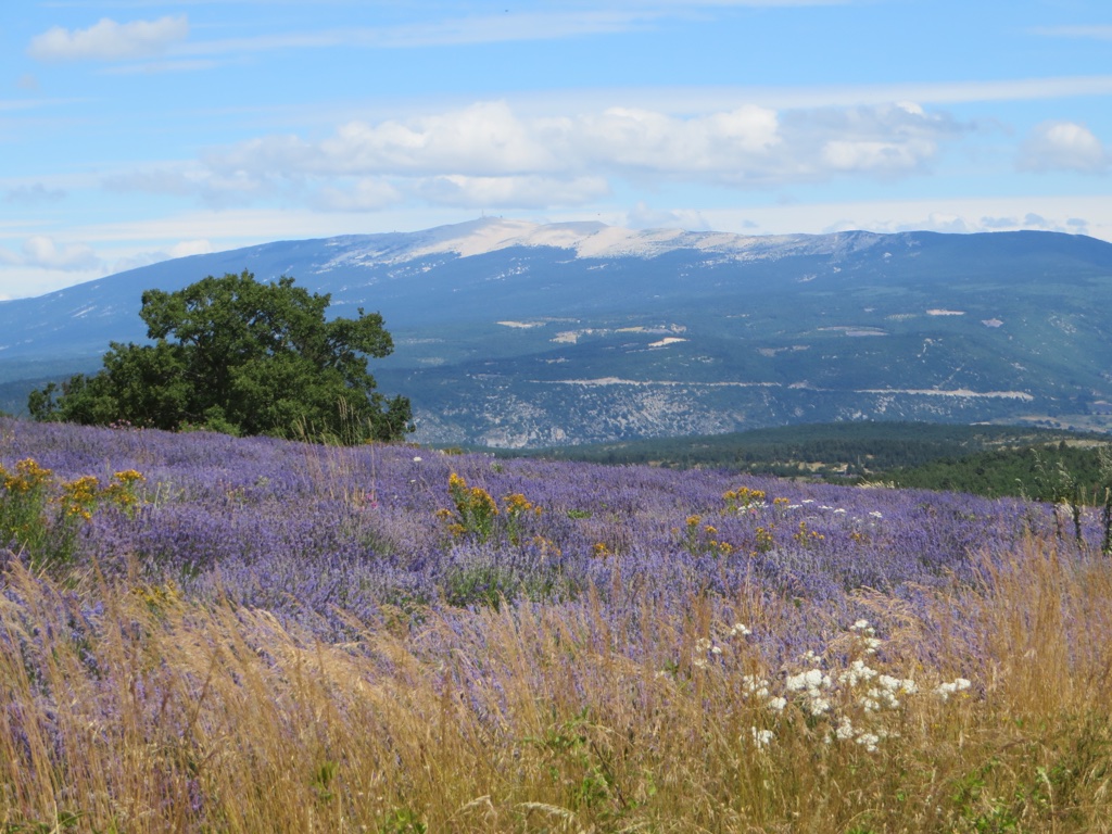 file-CAC32712-C0CD-49B4-8768-3CA68876A410-439-0000001E15C7009B