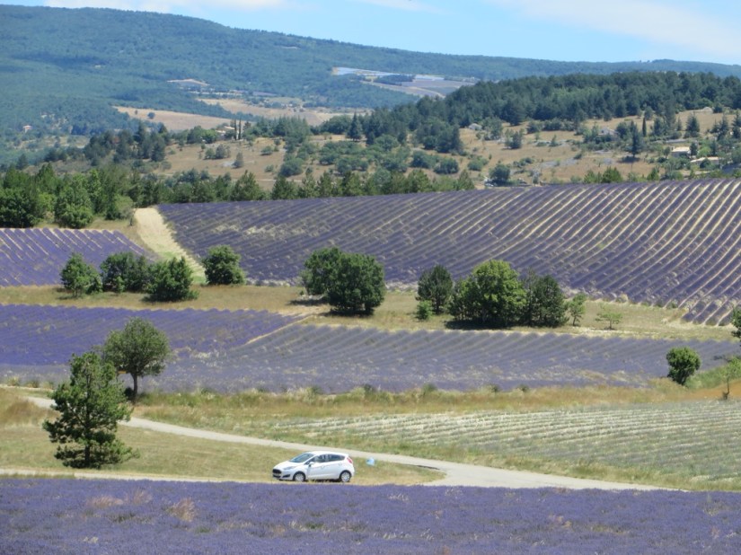 file-CB728955-AA51-4303-9897-3A0CA7BEC555-439-0000001E11226625