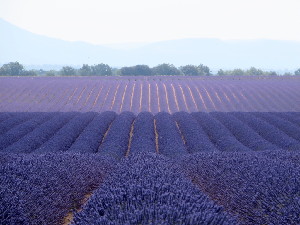 file-D7503864-0F61-48FA-B763-4099D6CF61DF-439-0000001DCB8DBFBF