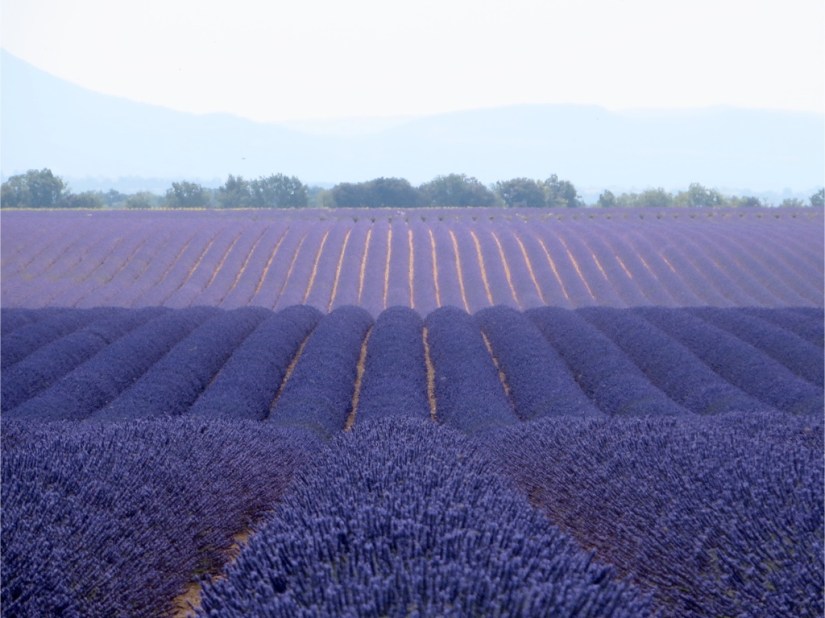 file-D7503864-0F61-48FA-B763-4099D6CF61DF-439-0000001DCB8DBFBF