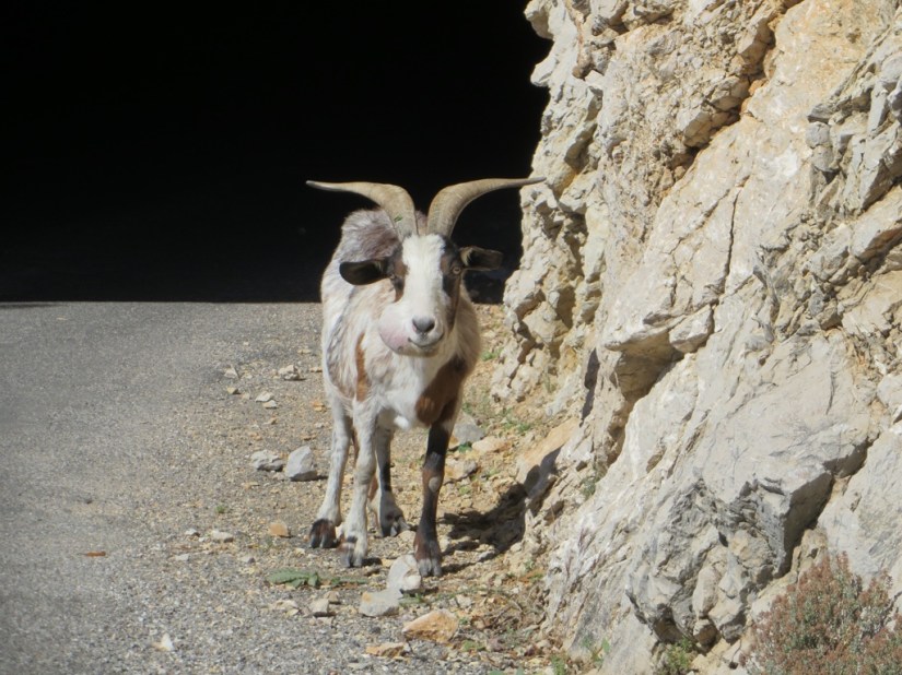 file-DD8B02AC-F0D5-47F8-88B0-239078F5A351-439-0000001E6553F34F