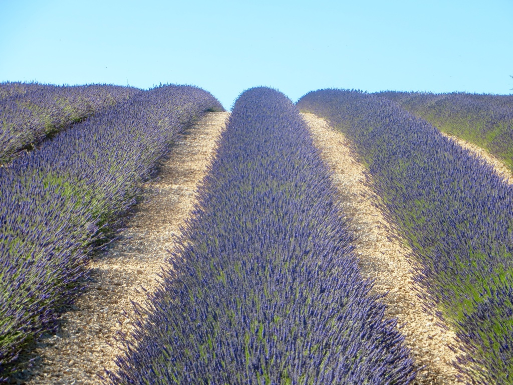 file-E39E36E0-CAAC-4641-A888-C11A6E222CF8-439-0000001DFA3D6A93