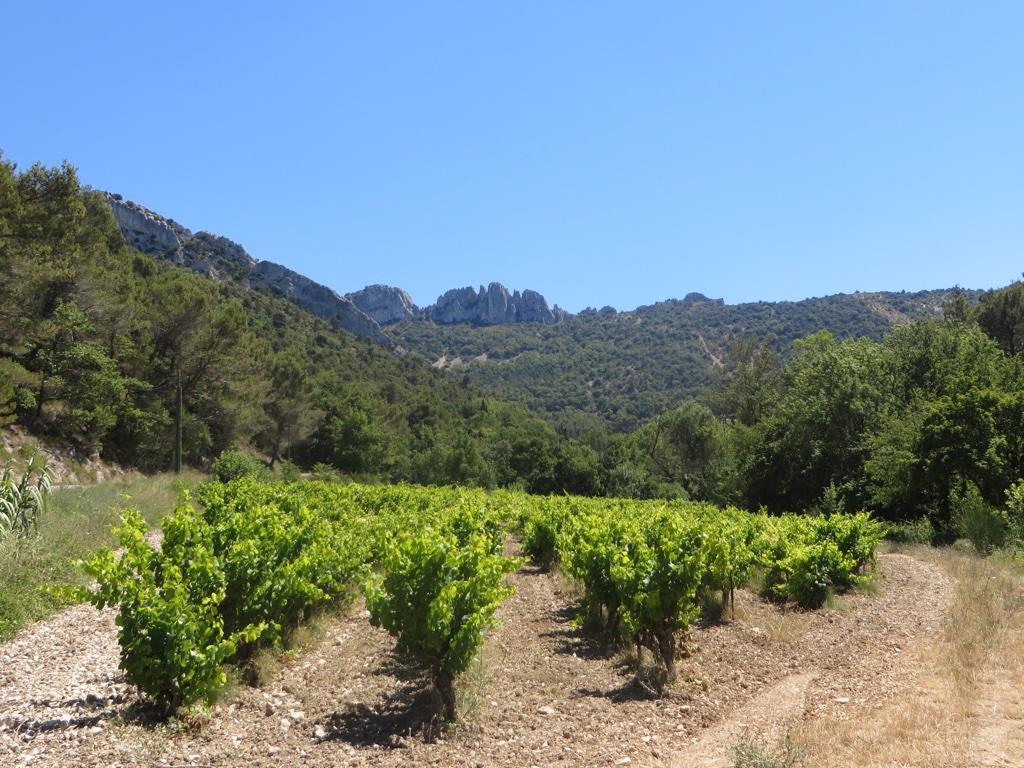 file-FB859D73-3204-4549-8F09-FFC7465610BC-439-0000001DE3032625