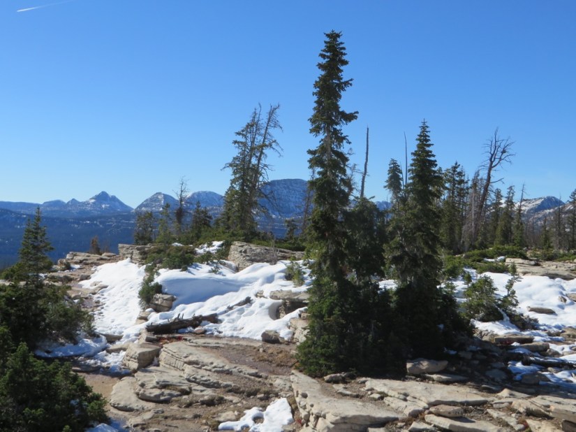 file-00DFA554-EDA1-4B7D-A0C7-811DC8CDE9EB-3203-0000027F06C3E420