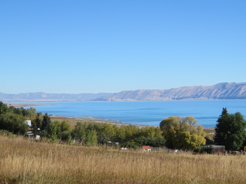 file-23389E10-16B7-439F-9E42-F30594EE4FAD-3203-0000027F11FD604A