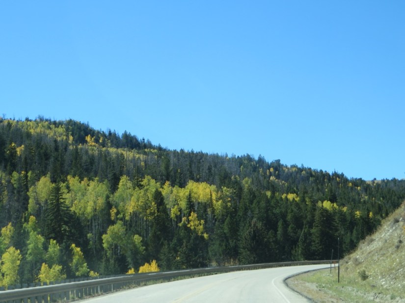 file-2F1E8E5A-160A-4659-A3D0-315244A97F4A-3203-0000027F0211A296