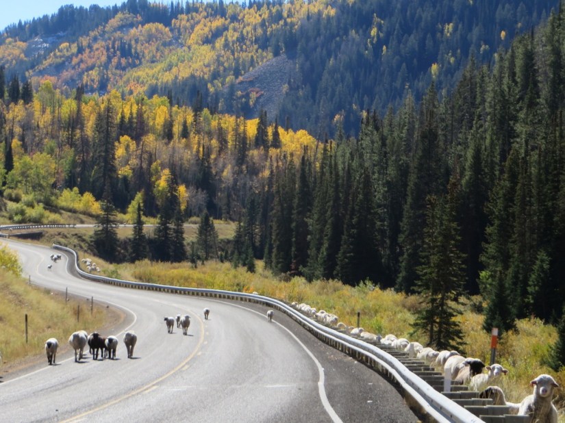 file-42CE92A2-03BD-4EEF-B923-6F7314E5160C-3203-0000027F030A8157