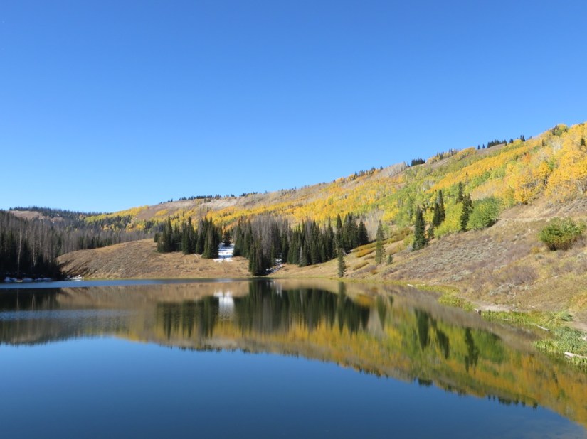 file-64BBE72D-FFE5-4A9F-9044-0014DA46DE07-3203-0000027F0299BA45